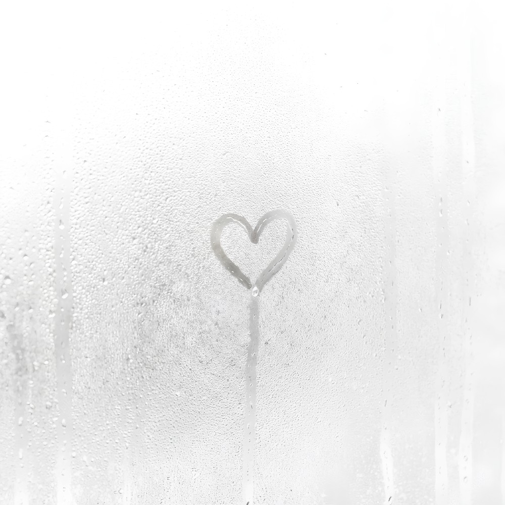 The Show Is You — Album Cover